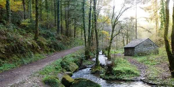 Kitthill
