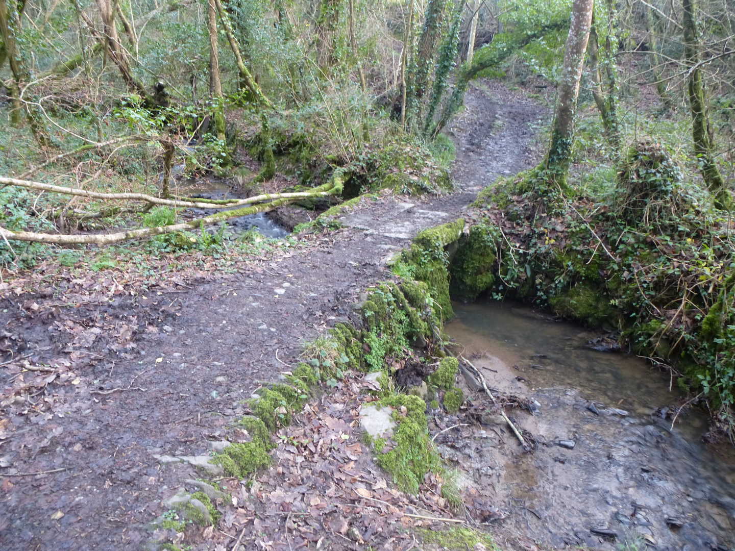 A small stone footbridge going over a stream