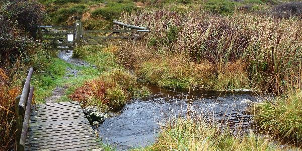 A wooden footbridge on The Lizard