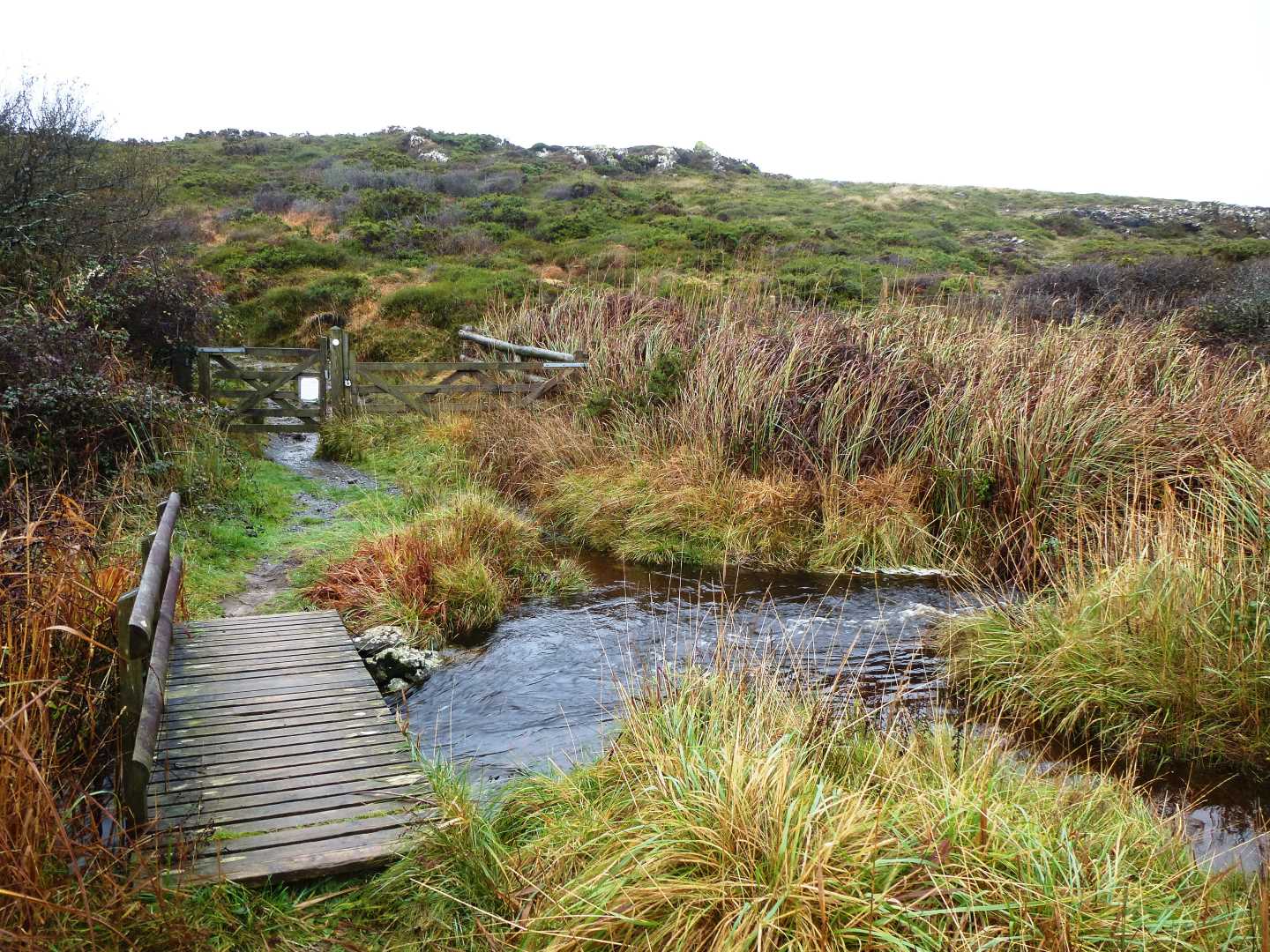 A wooden footbridge on The Lizard