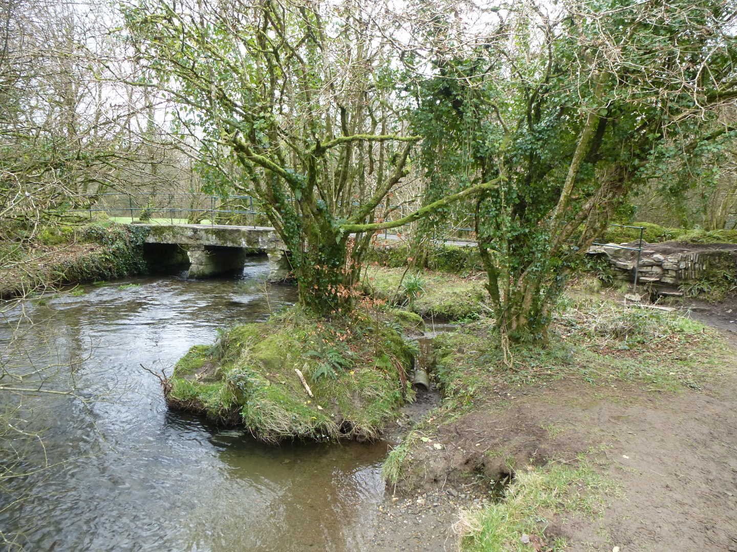 Trees in front of a small concrete bridge covered in moss