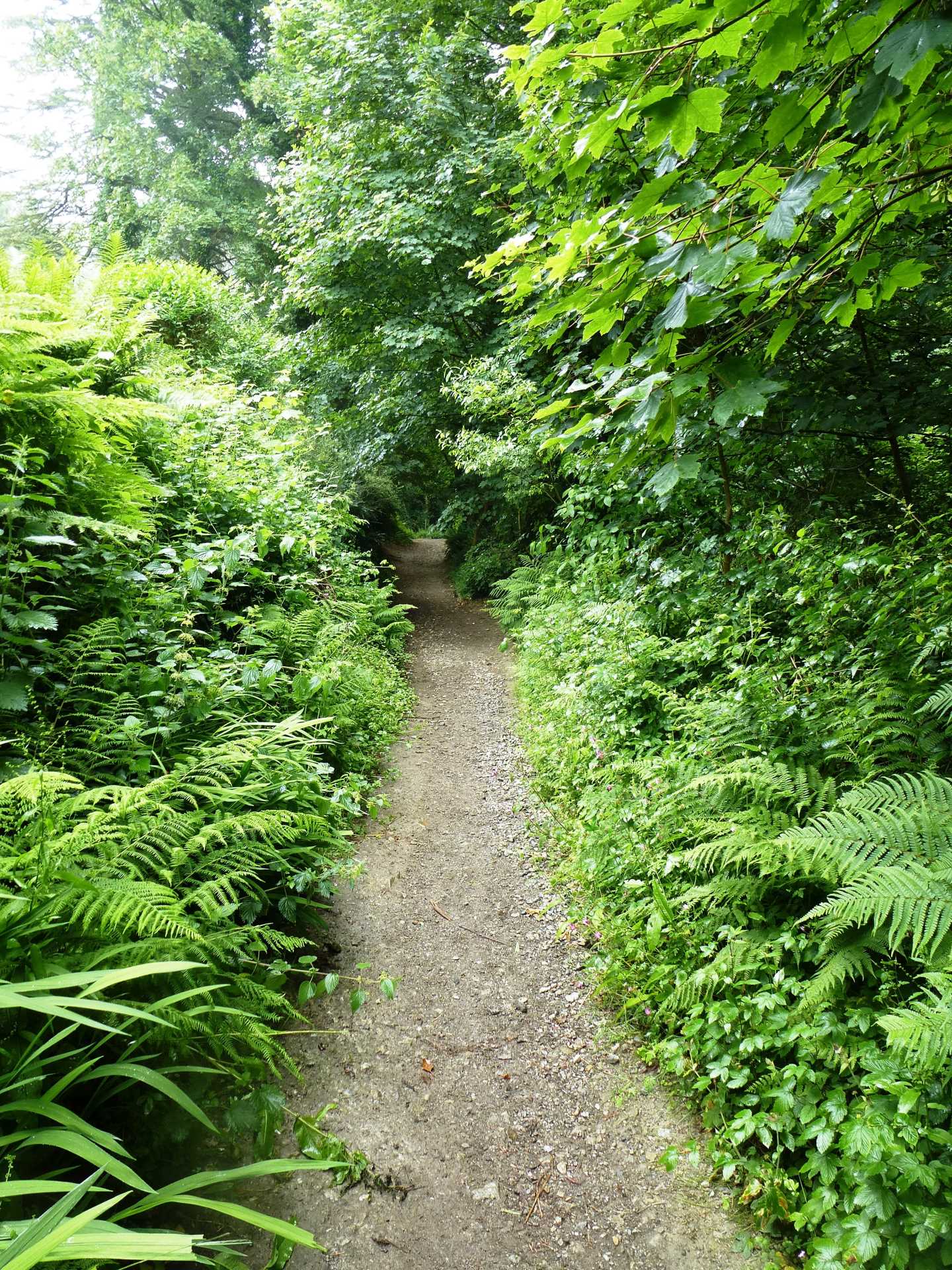St. Nectan's Glen Path
