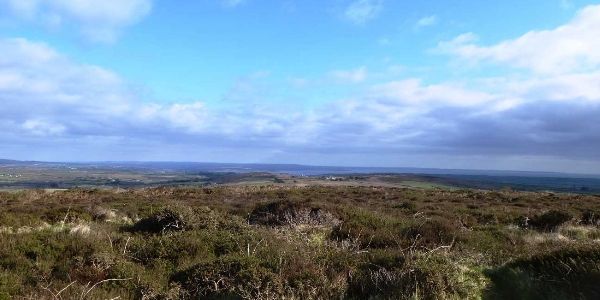 Bartinney Down
