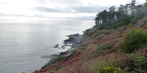 Lamorna
