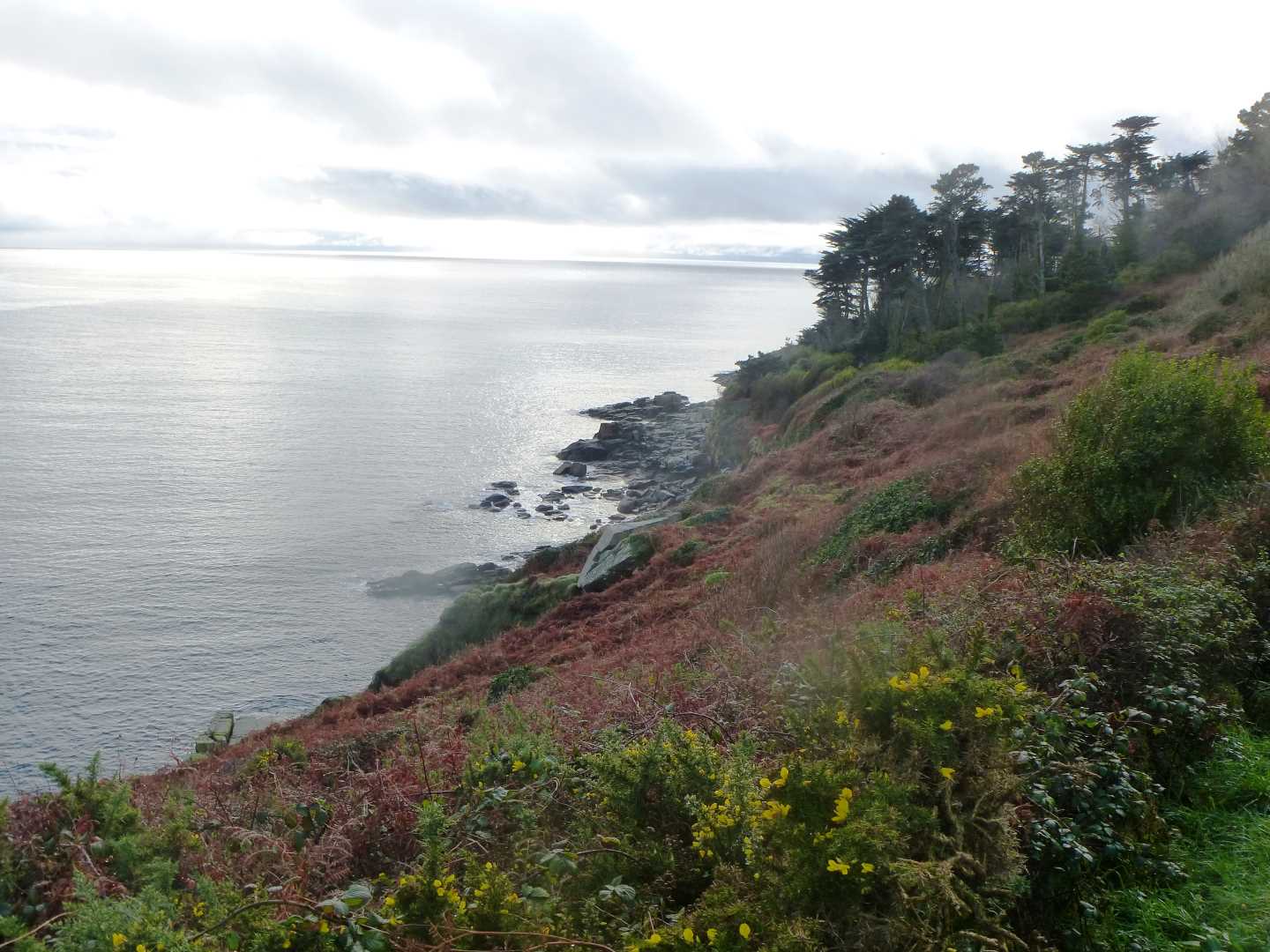 Kemyal Reserve