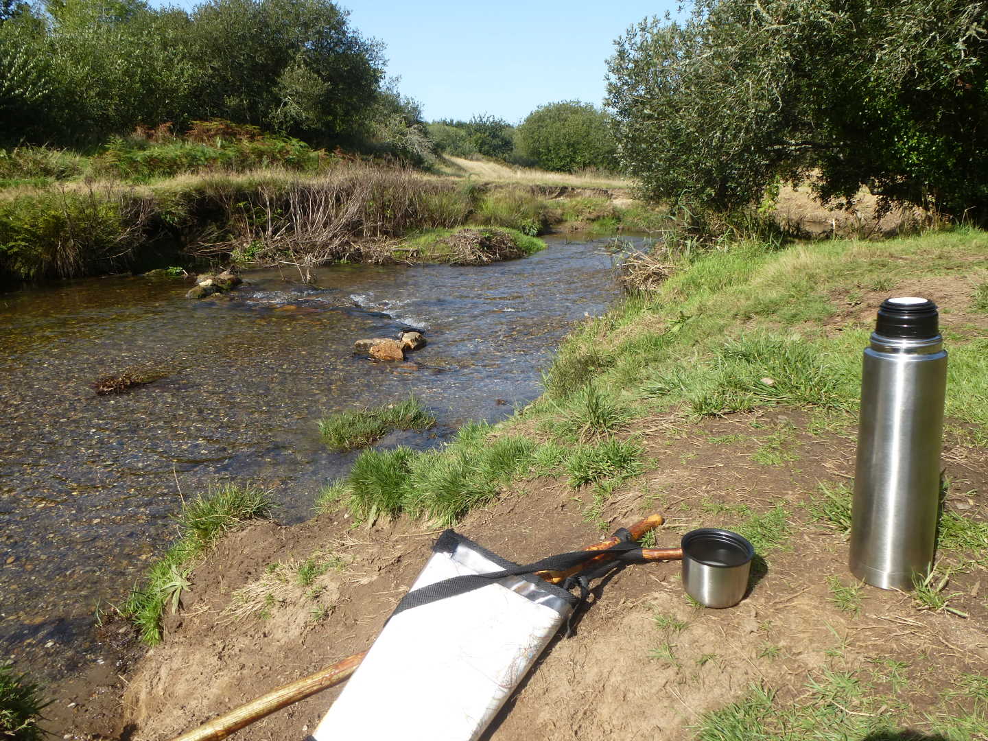 A river with a packed lunch laying on the grass