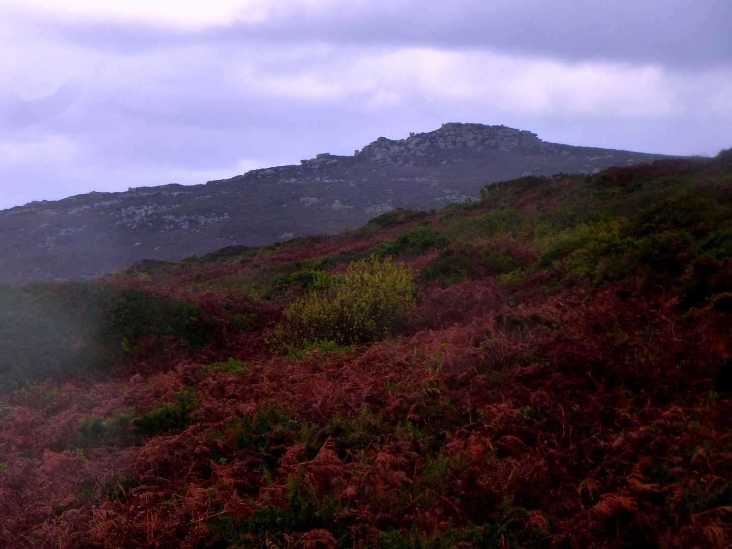 Watch Croft View