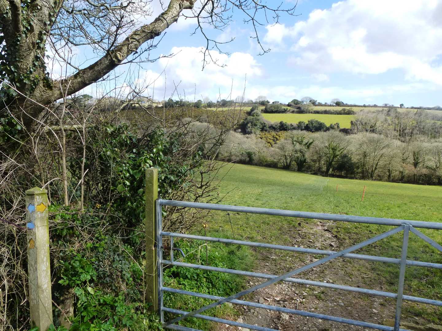 Devoran Fields