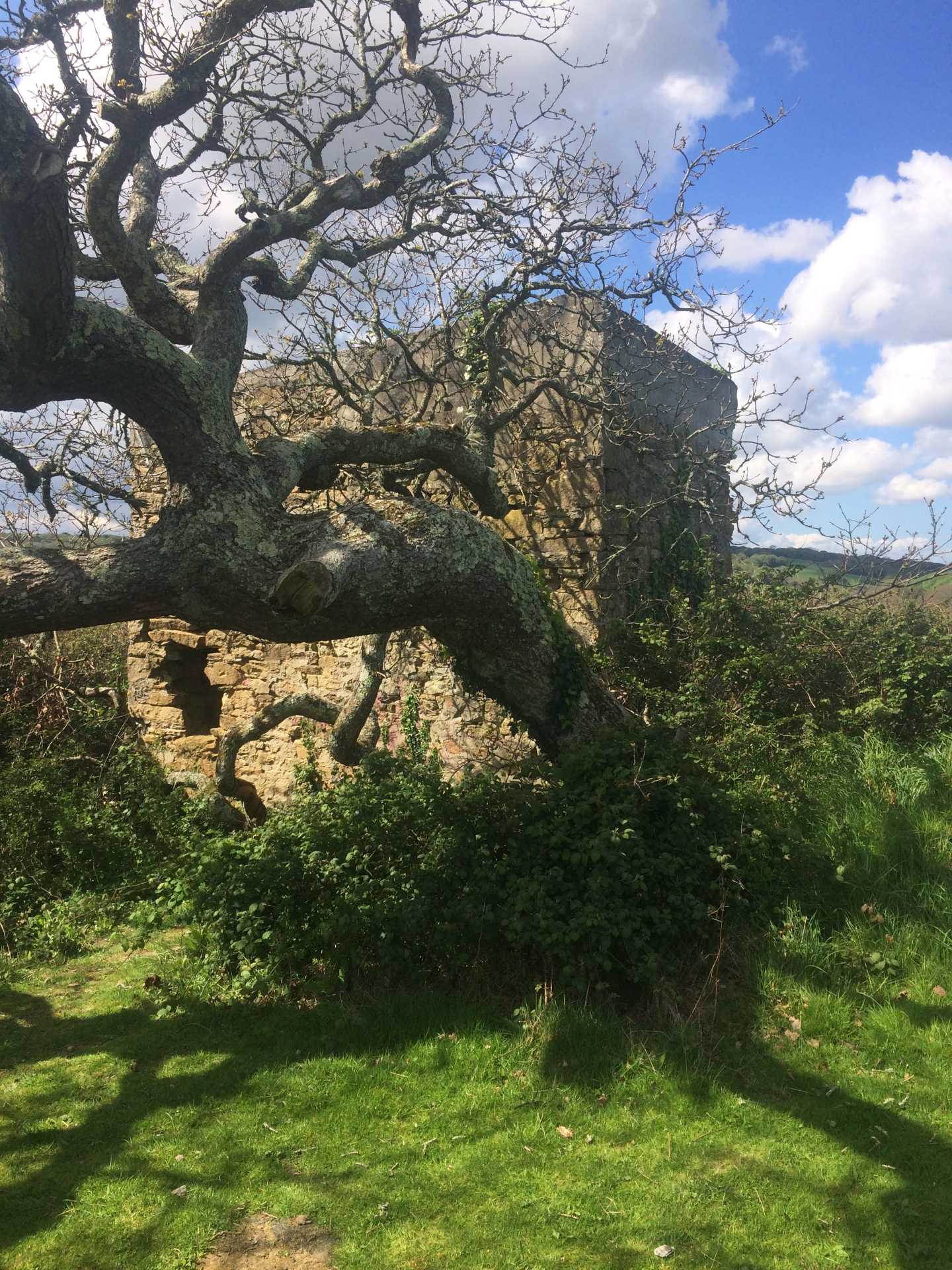 A picture of an old stone ruin