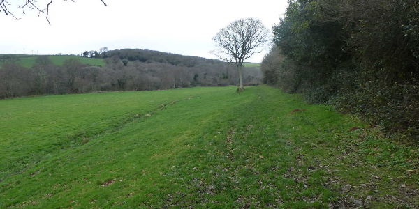Tregony