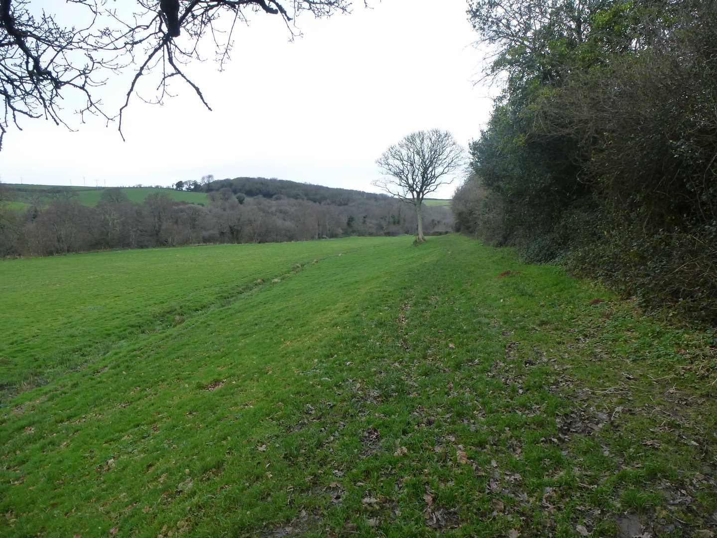 A view of the moorland