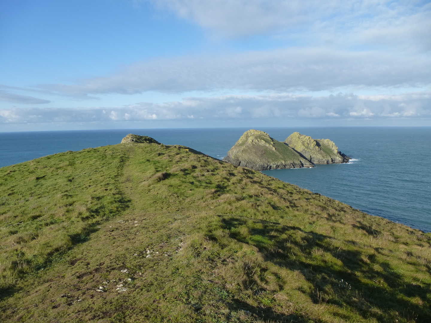 A view of grass covered rocks in the ocean