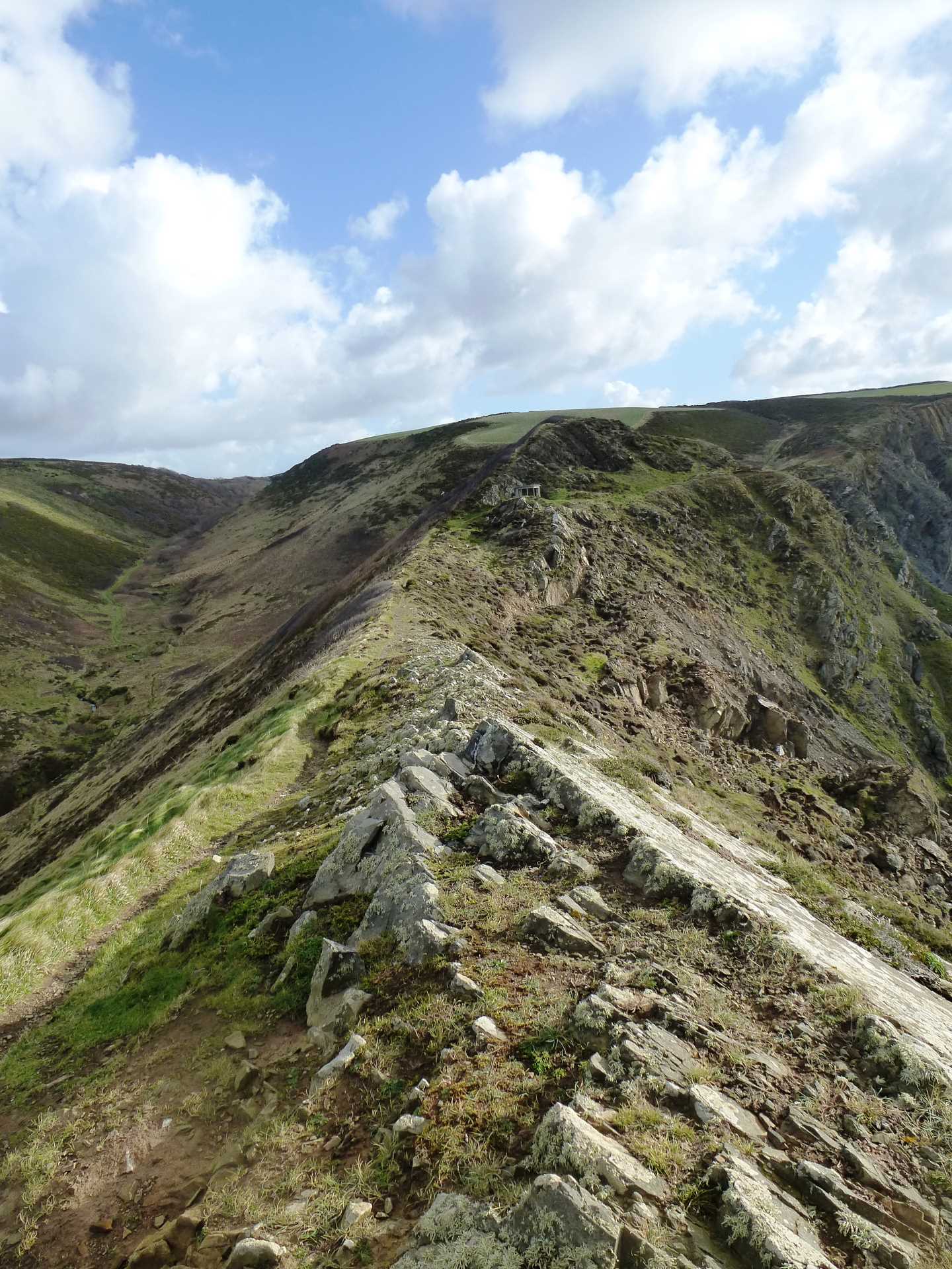 Morwenstow Sharnose Point